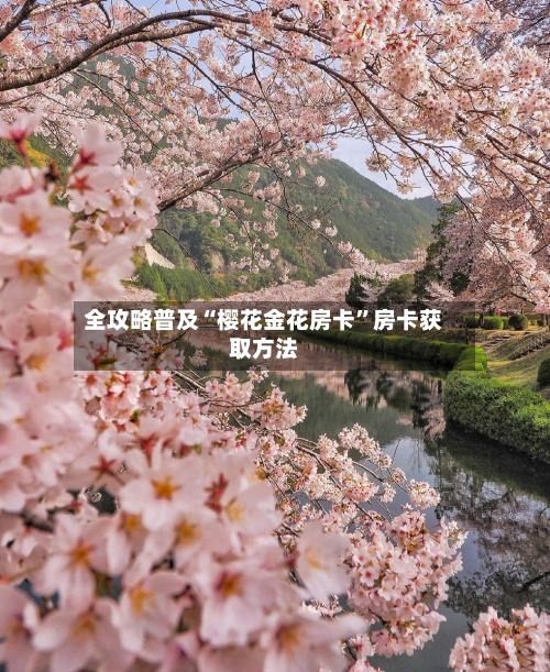 全攻略普及“樱花金花房卡	”房卡获取方法-第3张图片