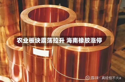 农业板块震荡拉升 海南橡胶涨停