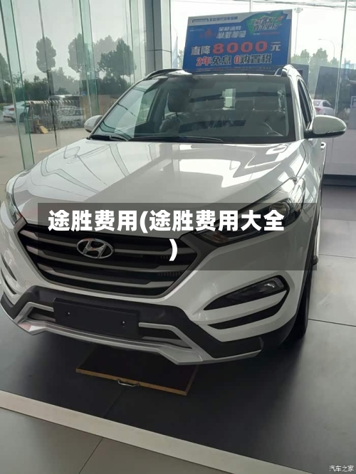 途胜费用(途胜费用大全)