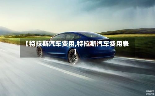 【特拉斯汽车费用,特拉斯汽车费用表】-第3张图片