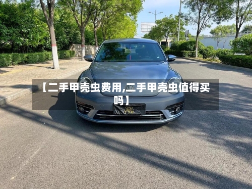 【二手甲壳虫费用,二手甲壳虫值得买吗】-第2张图片