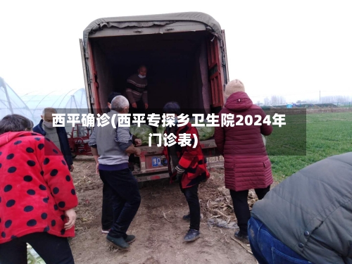 西平确诊(西平专探乡卫生院2024年门诊表)