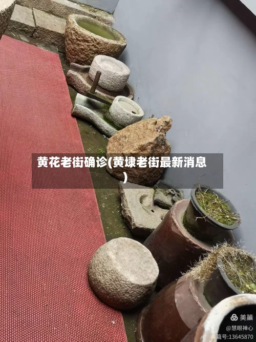 黄花老街确诊(黄埭老街最新消息)