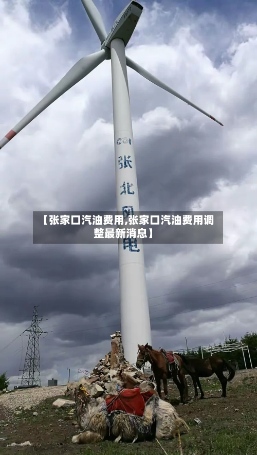 【张家口汽油费用,张家口汽油费用调整最新消息】