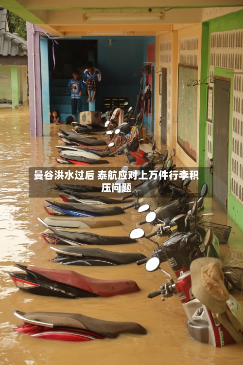 曼谷洪水过后 泰航应对上万件行李积压问题-第2张图片
