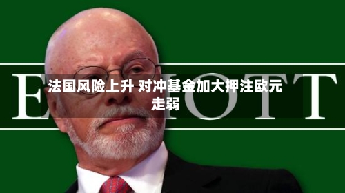 法国风险上升 对冲基金加大押注欧元走弱