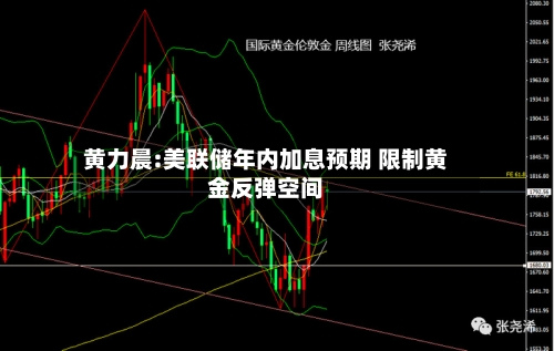 黄力晨:美联储年内加息预期 限制黄金反弹空间-第2张图片