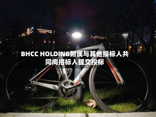 BHCC HOLDING附属与其他投标人共同向招标人提交投标-第2张图片