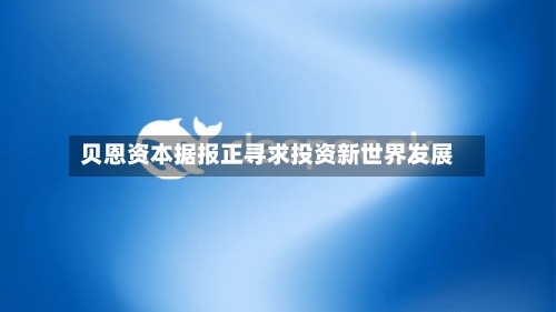 贝恩资本据报正寻求投资新世界发展-第3张图片