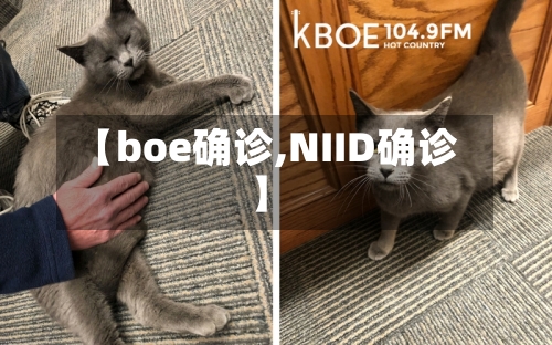 【boe确诊,NIID确诊】-第3张图片