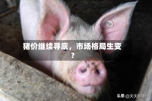 猪价继续寻底	，市场格局生变？-第1张图片