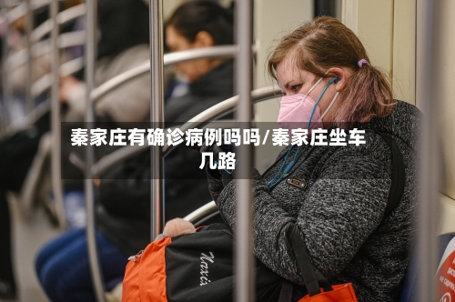 秦家庄有确诊病例吗吗/秦家庄坐车几路