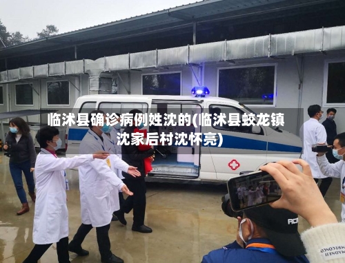 临沭县确诊病例姓沈的(临沭县蛟龙镇沈家后村沈怀亮)-第2张图片