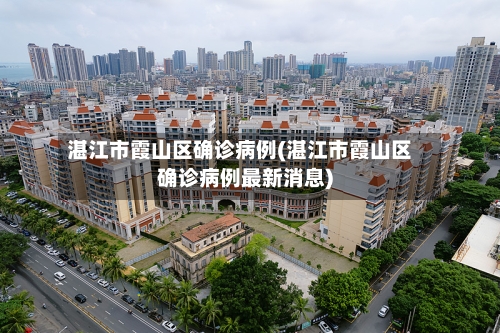 湛江市霞山区确诊病例(湛江市霞山区确诊病例最新消息)-第2张图片