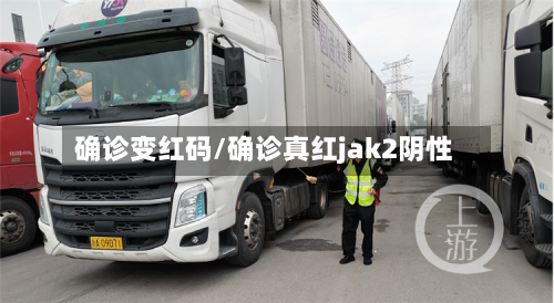 确诊变红码/确诊真红jak2阴性