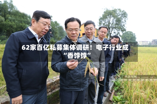 62家百亿私募集体调研！电子行业成“香饽饽”