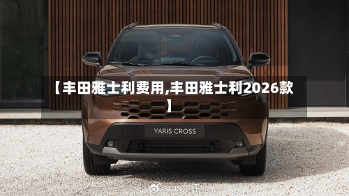 【丰田雅士利费用,丰田雅士利2026款】-第2张图片