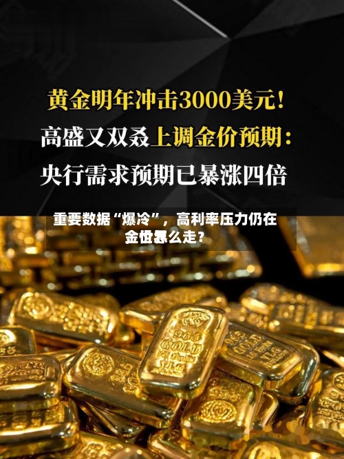 重要数据“爆冷”,高利率压力仍在,世界
金价怎么走?