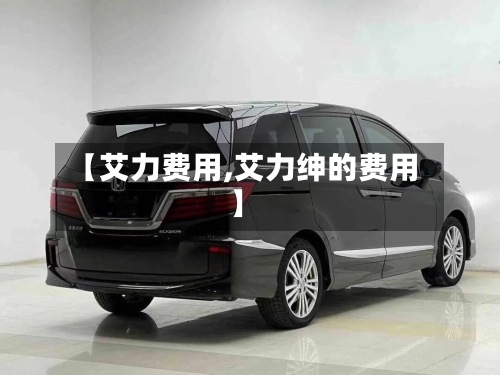 【艾力费用,艾力绅的费用】-第2张图片