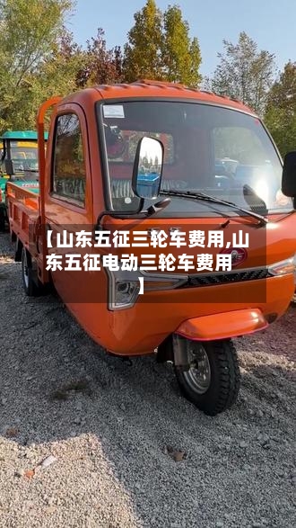 【山东五征三轮车费用,山东五征电动三轮车费用】