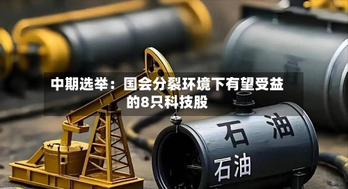 中期选举：国会分裂环境下有望受益的8只科技股-第2张图片