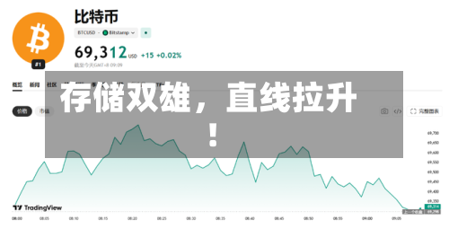 存储双雄，直线拉升！-第3张图片