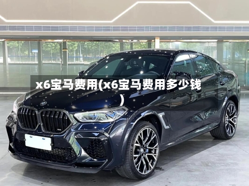x6宝马费用(x6宝马费用多少钱)
