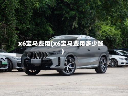 x6宝马费用(x6宝马费用多少钱)-第3张图片