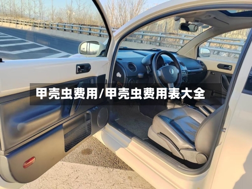 甲壳虫费用/甲壳虫费用表大全-第2张图片