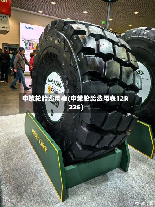 中策轮胎费用表(中策轮胎费用表12R225)-第2张图片