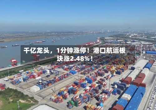 千亿龙头，1分钟涨停！港口航运板块涨2.48%！-第2张图片