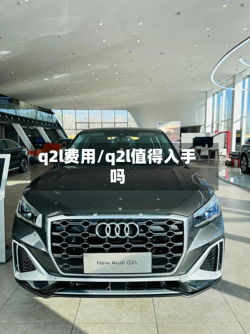 q2l费用/q2l值得入手吗-第2张图片