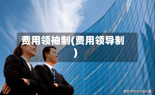 费用领袖制(费用领导制)-第2张图片