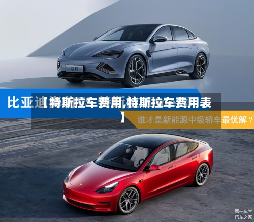 【特斯拉车费用,特斯拉车费用表】