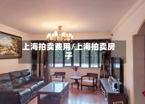 上海拍卖费用/上海拍卖房子
