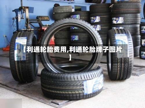 【利通轮胎费用,利通轮胎牌子图片】-第2张图片