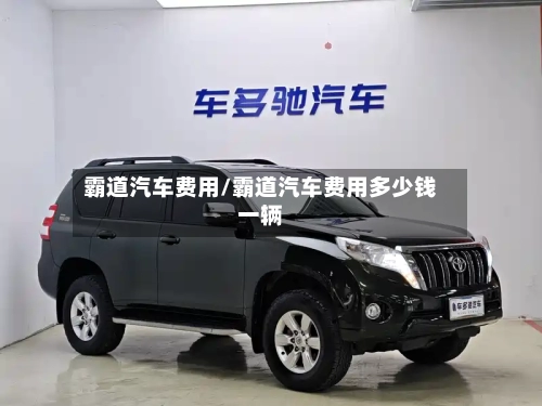 霸道汽车费用/霸道汽车费用多少钱一辆-第2张图片