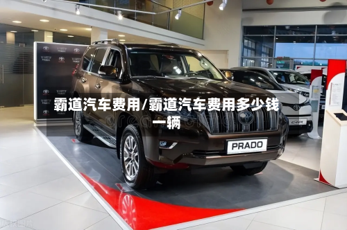霸道汽车费用/霸道汽车费用多少钱一辆-第3张图片