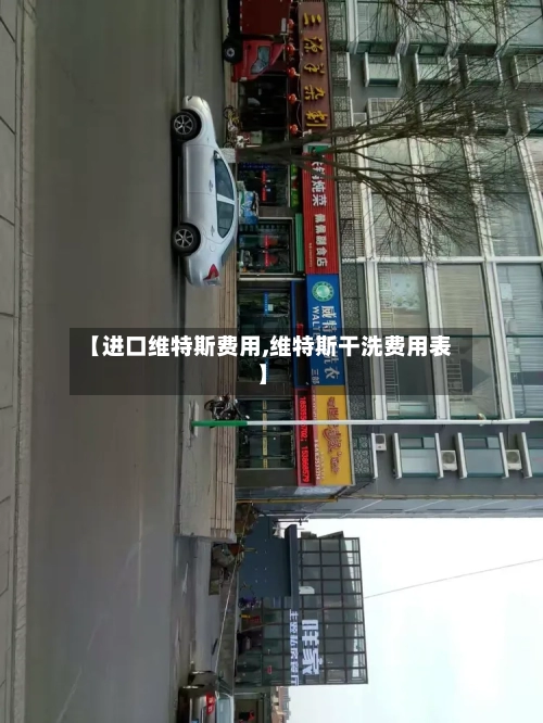 【进口维特斯费用,维特斯干洗费用表】
