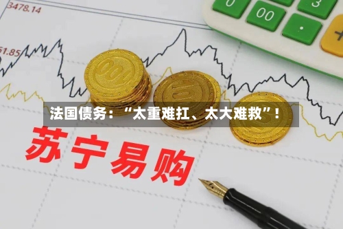 法国债务：“太重难扛、太大难救”！-第2张图片