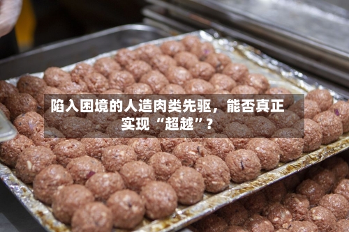 陷入困境的人造肉类先驱，能否真正实现 “超越”？-第1张图片