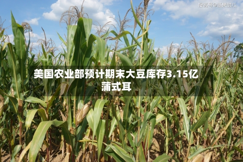 美国农业部预计期末大豆库存3.15亿蒲式耳-第2张图片