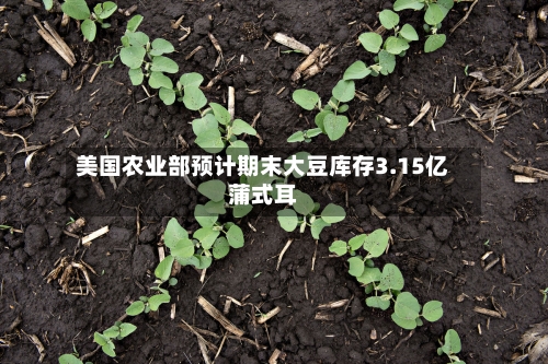 美国农业部预计期末大豆库存3.15亿蒲式耳-第3张图片