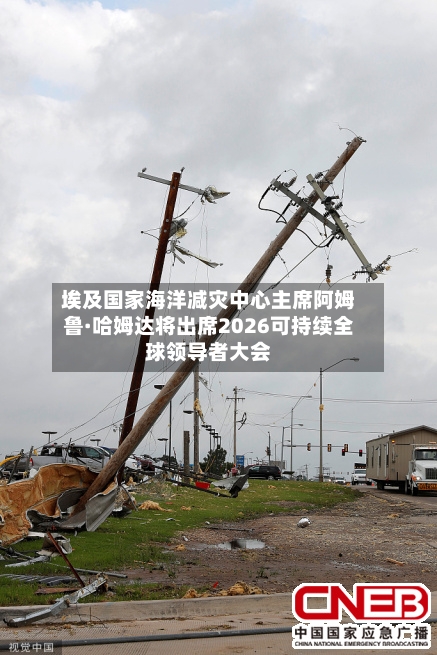 埃及国家海洋减灾中心主席阿姆鲁·哈姆达将出席2026可持续全球领导者大会-第2张图片