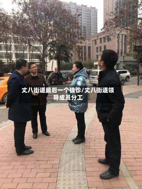 丈八街道最后一个确诊/丈八街道领导成员分工