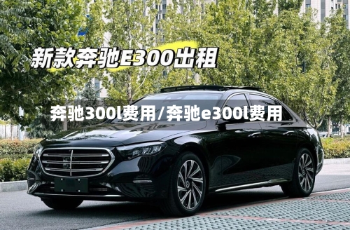 奔驰300l费用/奔驰e300l费用-第2张图片
