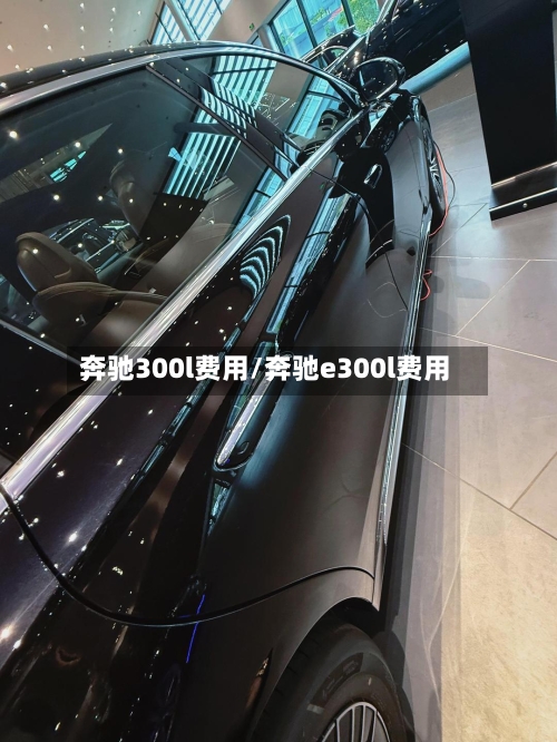 奔驰300l费用/奔驰e300l费用-第3张图片