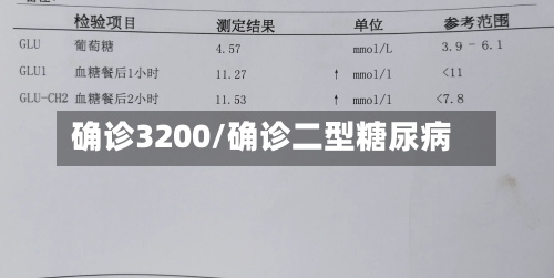 确诊3200/确诊二型糖尿病-第3张图片