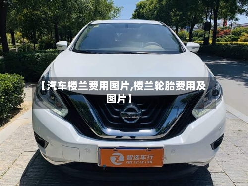 【汽车楼兰费用图片,楼兰轮胎费用及图片】-第3张图片
