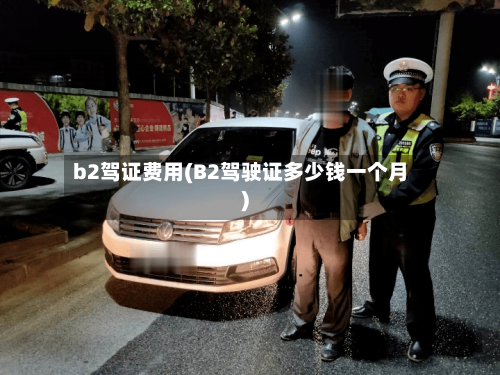 b2驾证费用(B2驾驶证多少钱一个月)-第2张图片